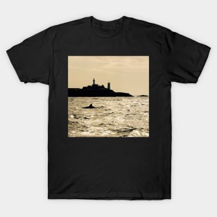 Dauphin in Saint-Mathieu T-Shirt